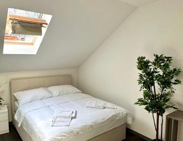 Double Room with Shared Bathroom