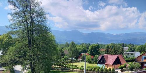 Double or Twin Room with Mountain View