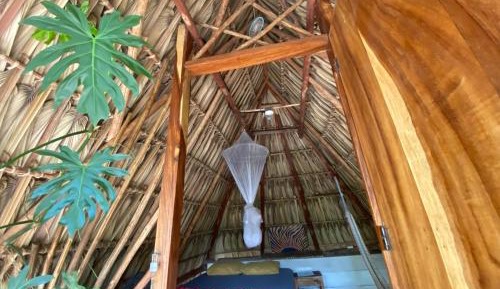 Single Room with Garden View