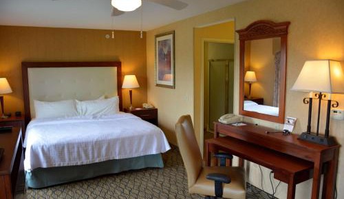 King Studio Suite - Non-Smoking