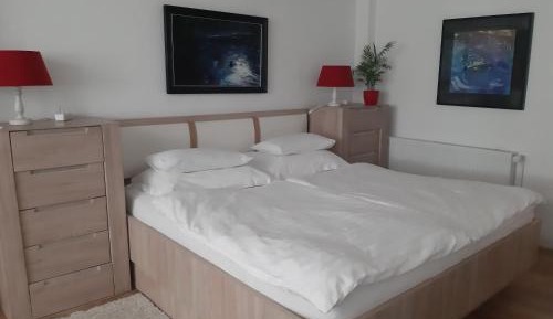 Superior Studio (2 Adults + 2 Children)