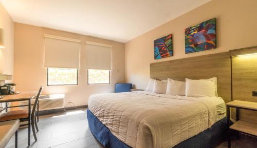 Queen Room with Garden View