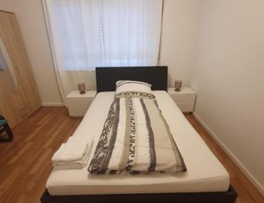 Single Room with Shared Shower and Toilet