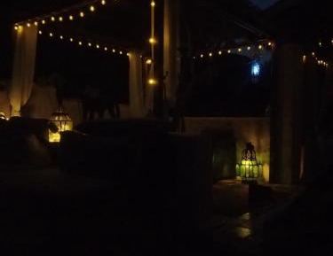 Twin Room with Garden View