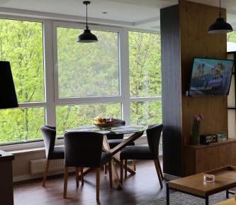 Apartment with Mountain View