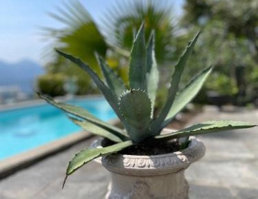 Apartment with Lake View
