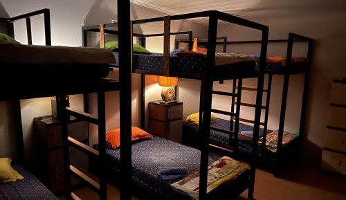 Single Bed in 6-Bed Dormitory Room