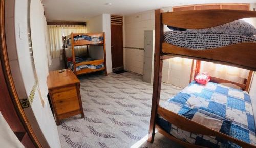 Bunk Bed in Mixed Dormitory Room