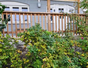 Apartment with Garden View