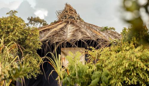 Double Room with Garden View