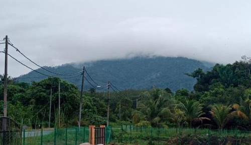 Family Room with Mountain View