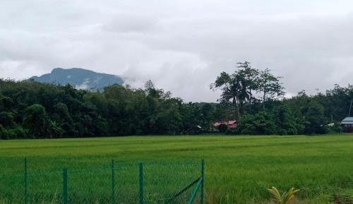 Family Room with Garden View