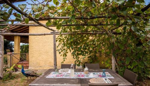 Three-Bedroom Superior Apartment