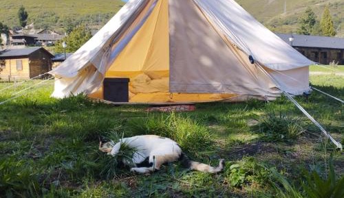Family Room with Shared Bathroom