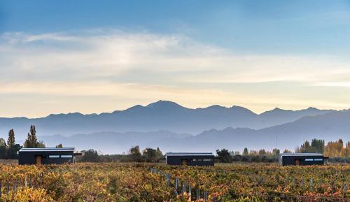 Suite with Mountain View