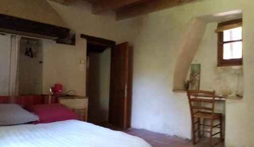 Standard Double Suite