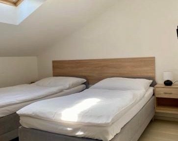 Twin Room with Private Bathroom