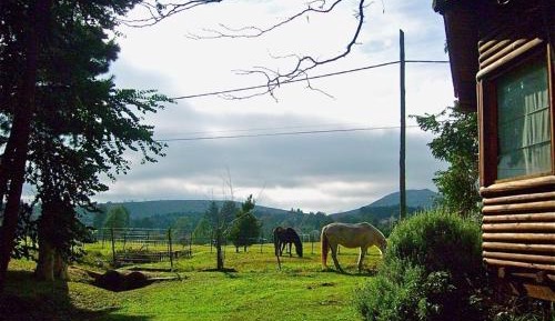 Cottage with Garden View