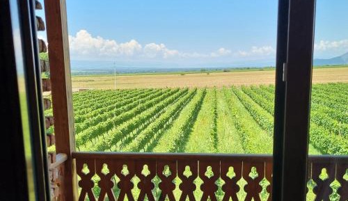Twin Room with Mountain View