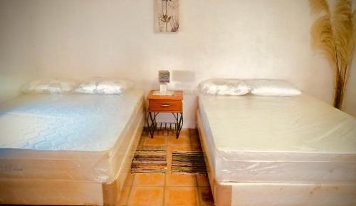 8-Bed Mixed Dormitory Room