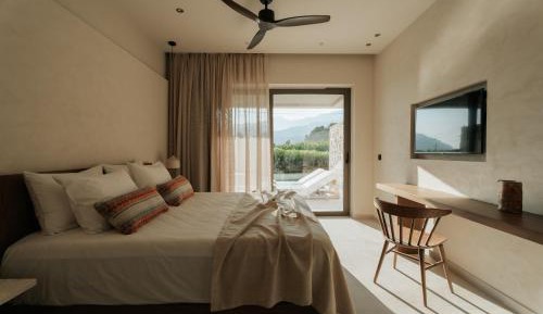Superior Double or Twin Room with Pool View