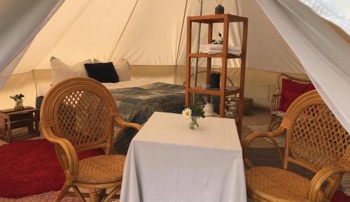 Tent - Hyacint