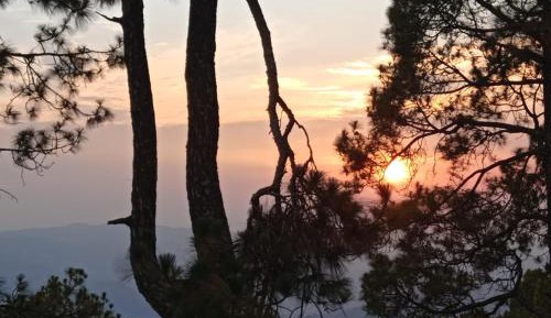 Suite with Mountain View