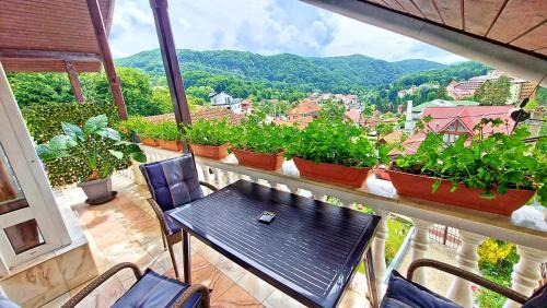 Apartment with Mountain View