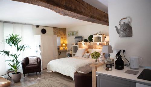 Studio Apartment