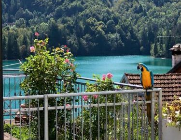 Apartment with Lake View