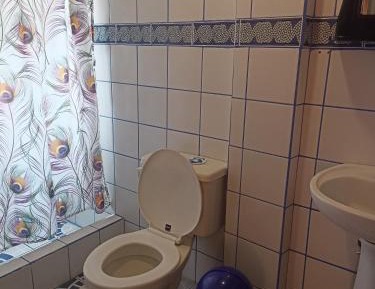 Triple Room (2 Adults + 1 Child)