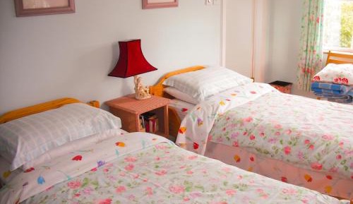 Deluxe Double or Twin Room with Garden View