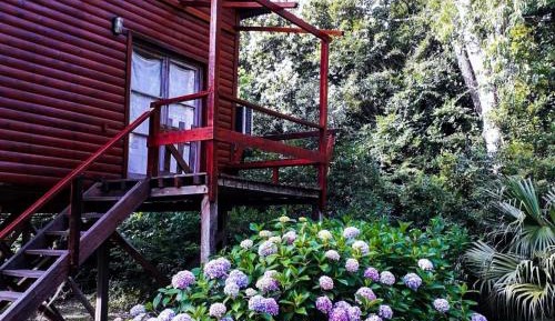 Two-Bedroom Chalet