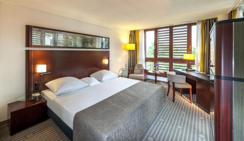 Comfort Double Room with Park View