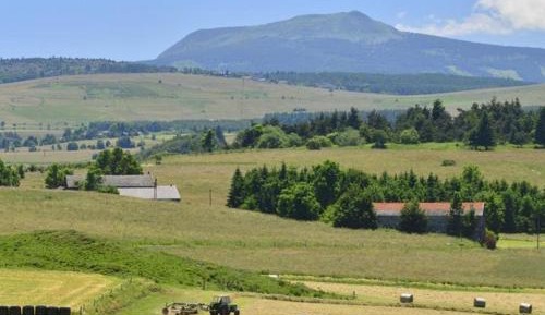 Holiday Home (4 Adults)