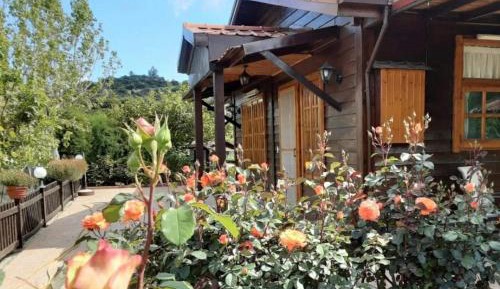 Three-Bedroom Chalet