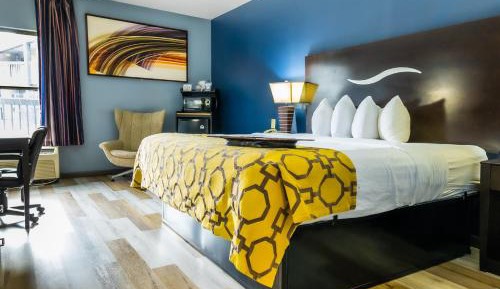 King Room - Non-Smoking