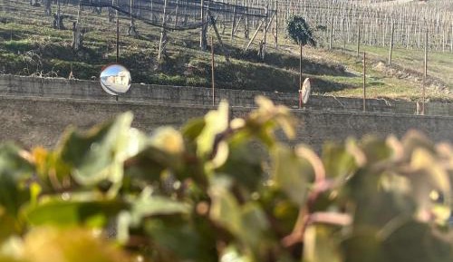 Junior Suite with Sauna