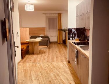 Studio Apartment