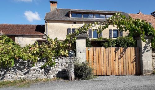 Studio with Garden View