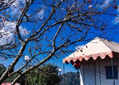 Standard Twin Room with Mountain View
