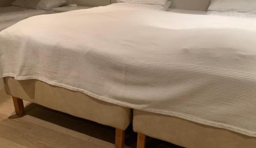 Triple Room with Shared Bathroom