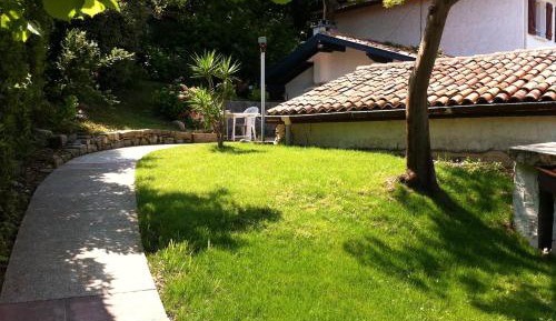 King Room with Sea View