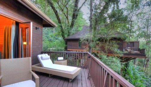 Luxury Cottage (Children Only Above 12 Years are Allowed)