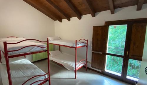 Bunk Bed in Mixed Dormitory Room