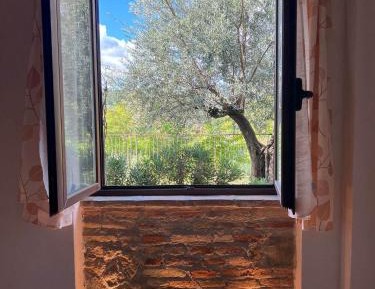 Apartment with Garden View