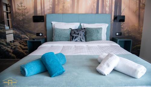 One-Bedroom Apartment - Le Contemporain