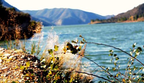 Family Room with Terrace