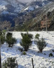 Family Room with Mountain View