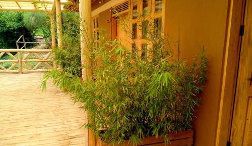 Single Room with Lake View